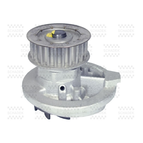 トップウォーターバカ news – Bottomup(ボトムアップ)公式サイト